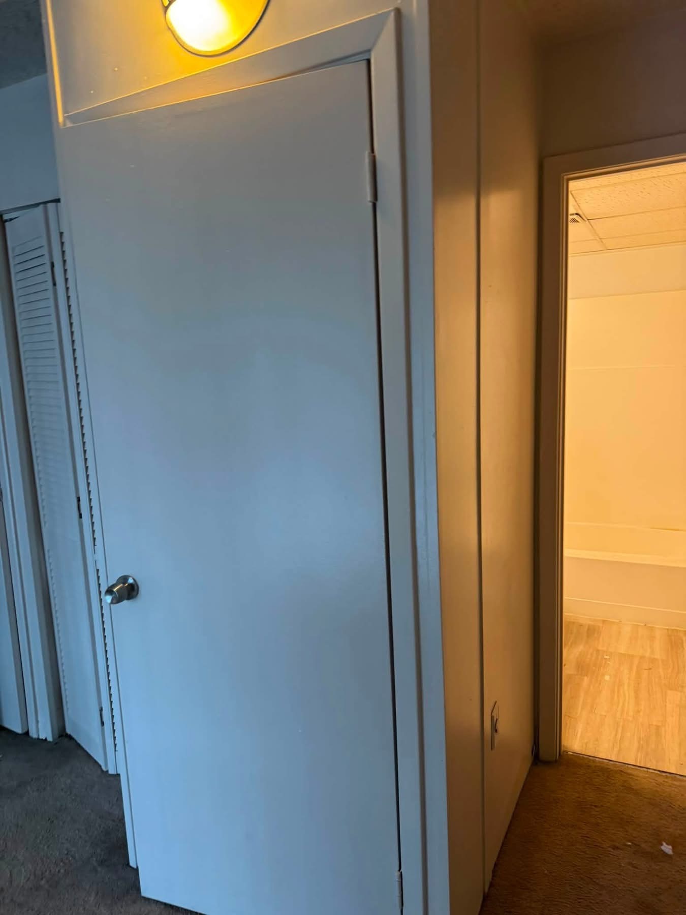 Interior hallway with white doors, overhead lighting, and wooden flooring