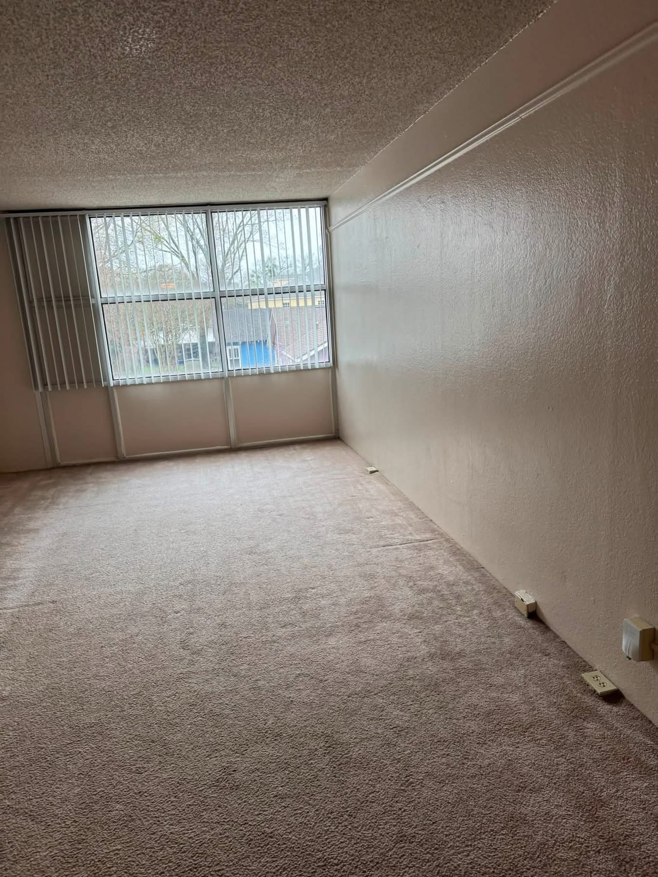 Empty office room with beige carpet, white walls, and large window with vertical blinds overlooking parking lot