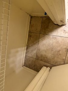 Bathroom shower enclosure with glass door and tiled walls showing water damage and mold growth